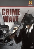 Crime Wave: 18 Months of Mayhem (, 2008)