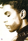 Prince: The Hits Collection (, 1993)