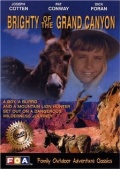 Brighty of the Grand Canyon (1967)