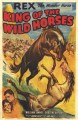King of the Wild Horses (1933)