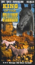 King of the Stallions (1942)