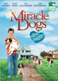 Miracle Dogs (, 2003)