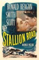 Stallion Road (1947)