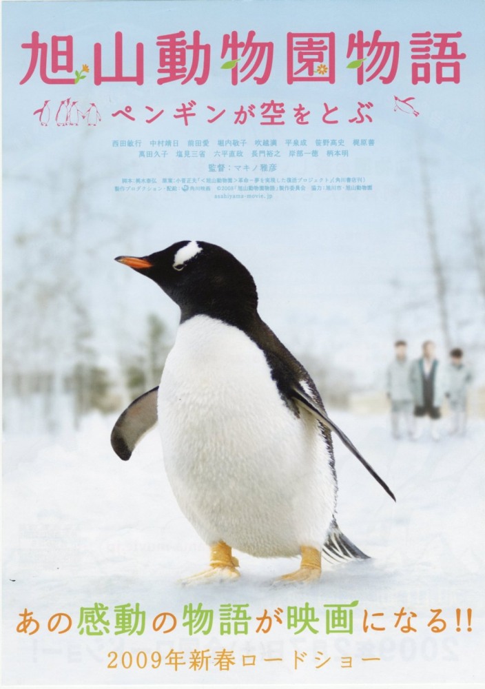 Зоопарк Асахияма – Пингвины в небе