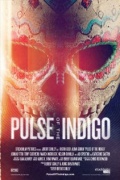 Pulse of the Indigo (2012)